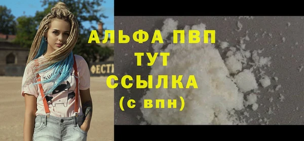 PSILOCYBIN Гусев