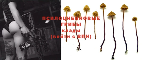 PSILOCYBIN Гусев