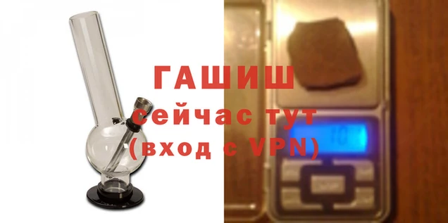 PSILOCYBIN Гусев