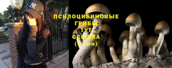 PSILOCYBIN Гусев